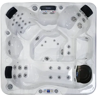 Avalon EC-849L hot tubs for sale in Harrisonburg