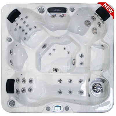 Avalon-X EC-849LX hot tubs for sale in Harrisonburg